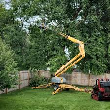 Best Aeration Services  in Brockport, NY