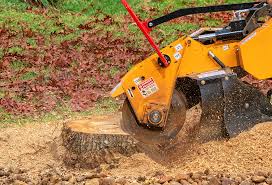 How Our Tree Care Process Works  in  Brockport, NY
