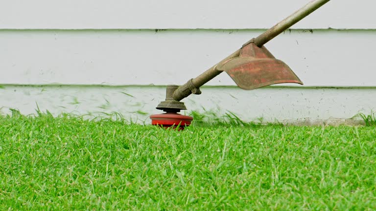 Best Tree Health Inspection  in Brockport, NY