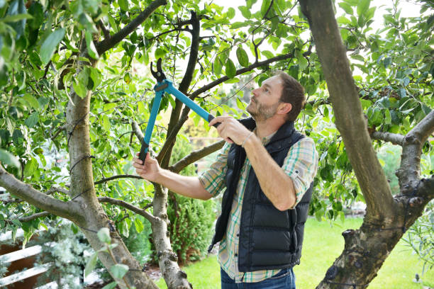 Best Lawn Watering Services  in Brockport, NY